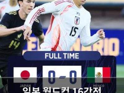일본 월드컵 16강전 멕시코에 0대1 패배