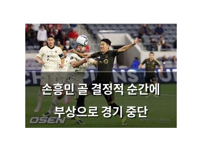 손흥민 골 결정적 순간에 부상으로 경기 중단