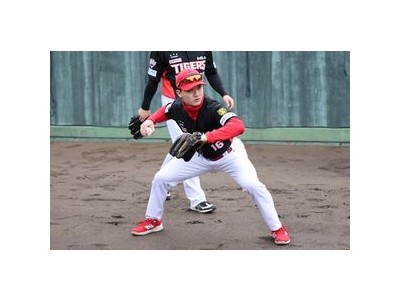 KIA 최형우·박찬호 빈자리 메우기 고민 중