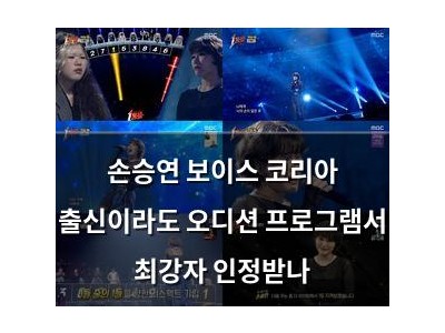 손승연 보이스 코리아 출신이라도 오디션 프로그램서 최강자 인정받나