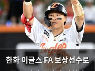 한화 이글스 FA 보상선수로 투수 선택 손아섭 거취가 화제