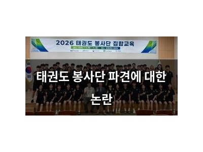 태권도 봉사단 파견에 대한 논란