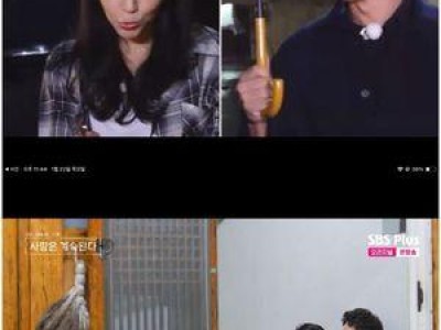 미스터 킴 국화에 대한 마음 계속된 듯