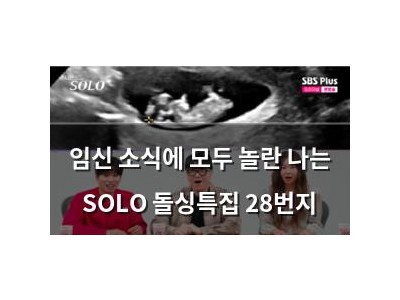임신 소식에 모두 놀란 나는 SOLO 돌싱특집 28번지