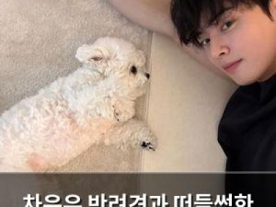 차은우 반려견과 떠들썩한 시간 보낸 근황 공개
