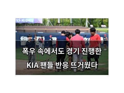 폭우 속에서도 경기 진행한 KIA 팬들 반응 뜨거웠다